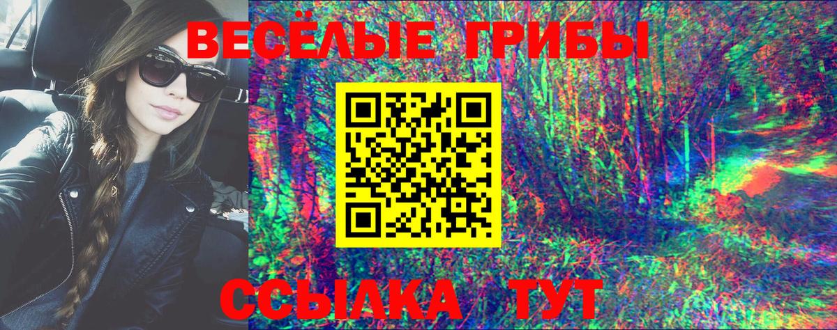 сколько стоит  Псилоцибиновые грибы мухоморы  Вход с VPN  Чебоксары 